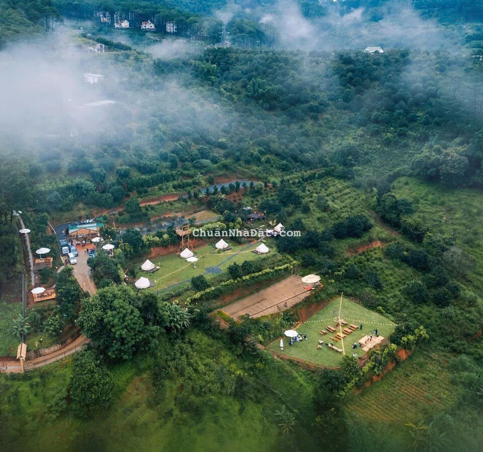 SANG NHƯỢNG KHU DU LỊCH MIMOSA 13000M2 VIEW ĐỒI THÔNG CÓ SẴN CƠ SỞ HẠ TẦNG P10 TP ĐÀ LẠT 500TR