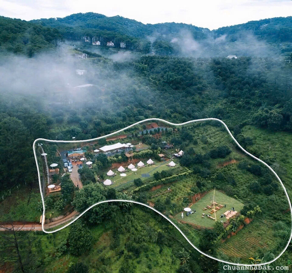 SANG NHƯỢNG KHU DU LỊCH MIMOSA 13000M2 VIEW ĐỒI THÔNG CÓ SẴN CƠ SỞ HẠ TẦNG P10 TP ĐÀ LẠT 500TR