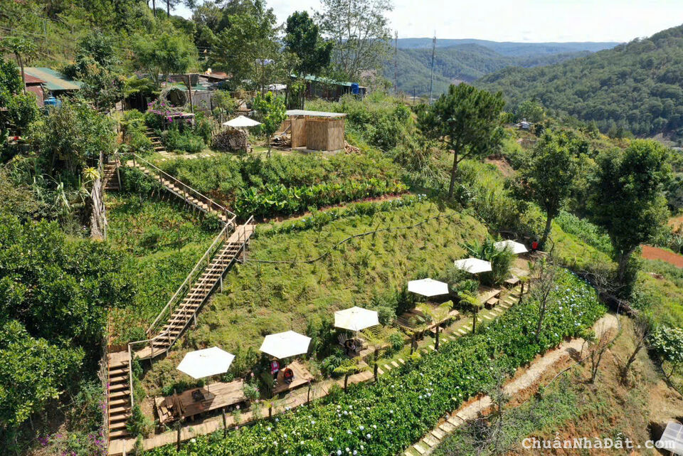 SANG NHƯỢNG MẶT BẰNG KINH DOANH 2000M2 MẶT TIỀN ĐÈO MIMOSA PHƯỜNG 10 ĐÀ LẠT, 45TR/THÁNG