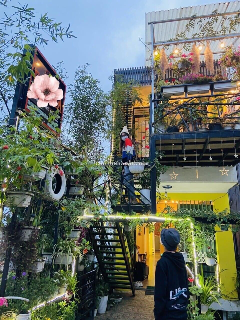 CHO THUÊ HOMESTAY ĐÀ LẠT, ĐƯỜNG Ô TÔ PHẠM NGỌC THẠCH, 5PN FULL NỘI THẤT 14TR, LH 0888-113-882 