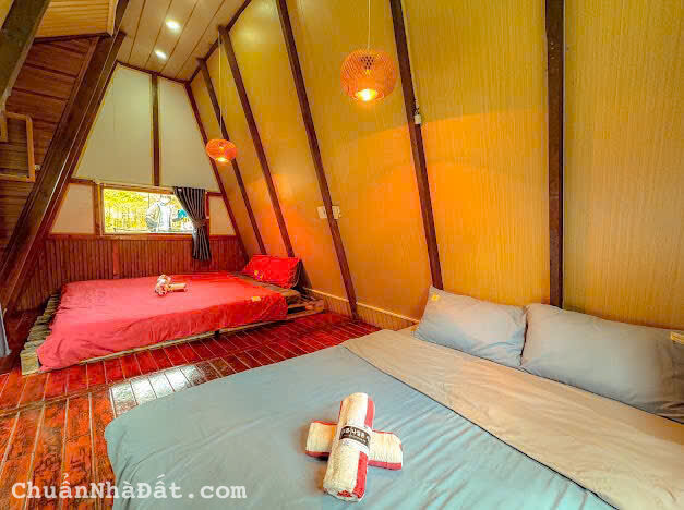 CHO THUÊ HOMESTAY ĐƯỜNG Ô TÔ THÁNH MẪU PHƯỜNG 7 ĐÀ LẠT, 6PN FULL NỘI THẤT GPKD PCCC, 17TR