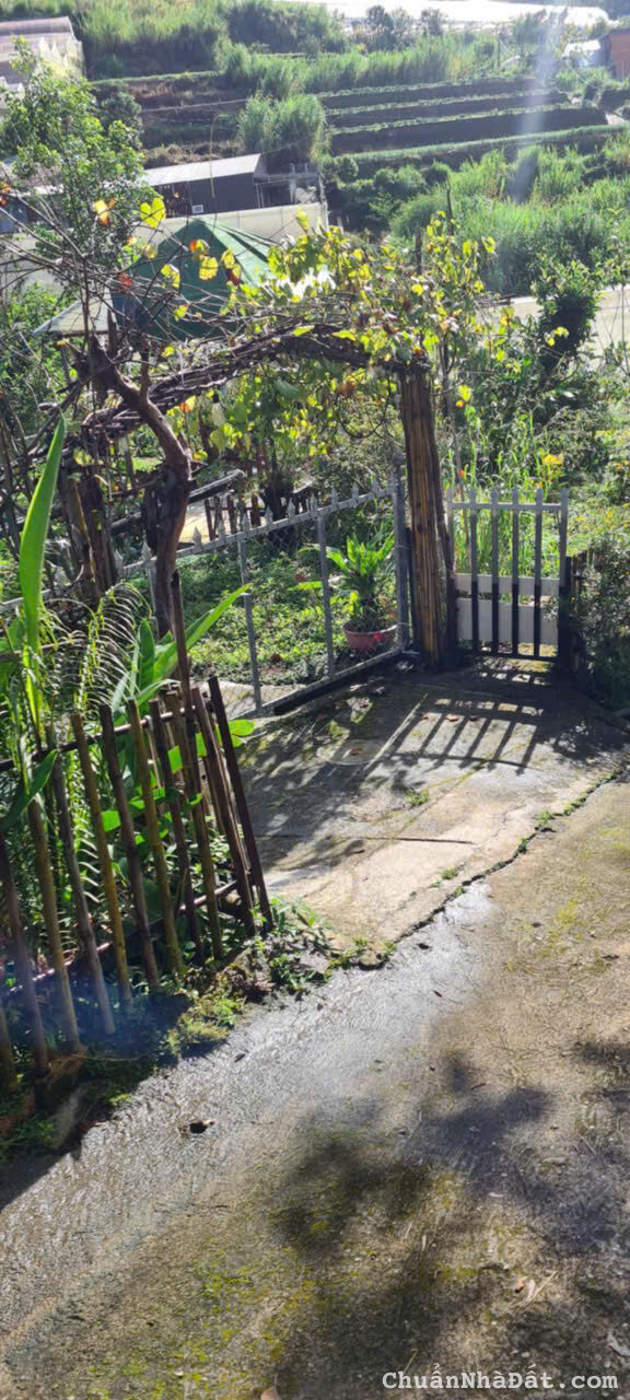 CHO THUÊ ĐẤT 500M2 TRẦN THÁI TÔNG PHƯỜNG 10 ĐÀ LẠT, 100TR/NĂM