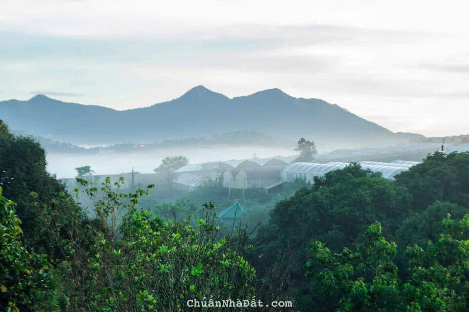 SANG HOMESTAY GỖ VIEW NÚI SƯƠNG MÙ VẠN THÀNH, ĐẦY ĐỦ GPKD PCCC, 18TR/THÁNG (TỔNG 354TR)