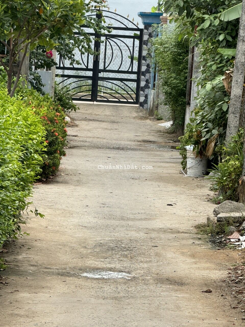 Chủ ngộp bank cần bán gấp căn Nhà 4*16m hẻm 104 Nguyễn An Ninh gần chợ Cần Giuộc Chủ ngộp bank cần bán gấp căn Nhà 4*16m hẻm 104 Nguyễn An Ninh gần chợ Cần Giuộc