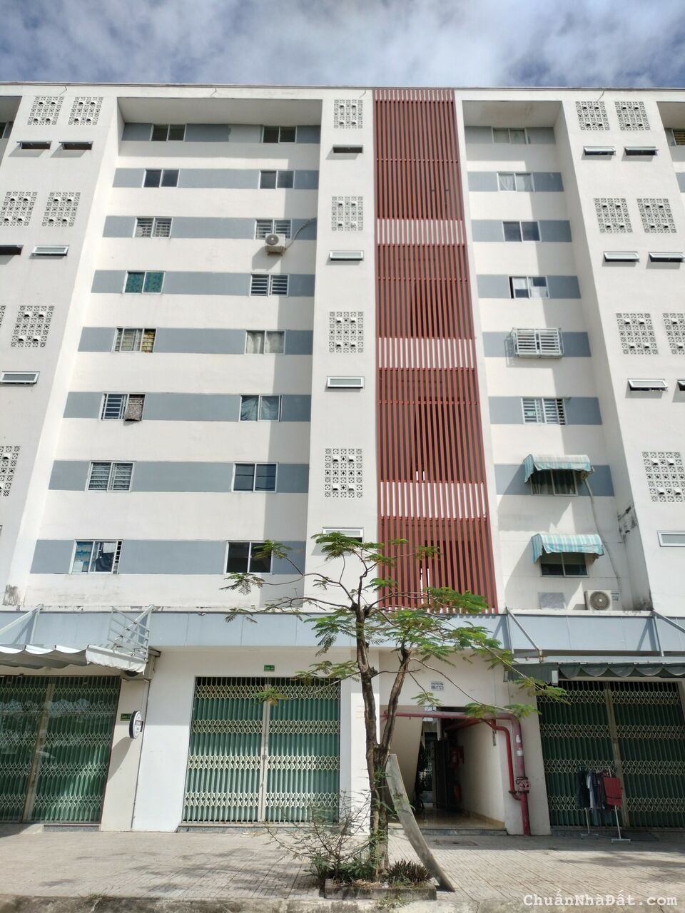 Chung Cư/Tầng trệt Shophouse (Diện tích sử dụng 80m2 (5mx11m)