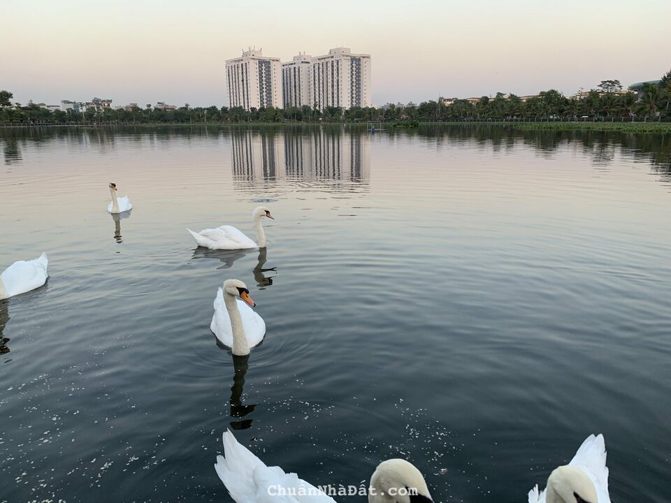 Cần bán đất Liền Kề B1.4 sau chung cư Kđt Thanh Hà Cienco 5 giá đầu tư Cần bán đất Liền Kề B1.4 sau chung cư Kđt Thanh Hà Cienco 5 giá đầu tư