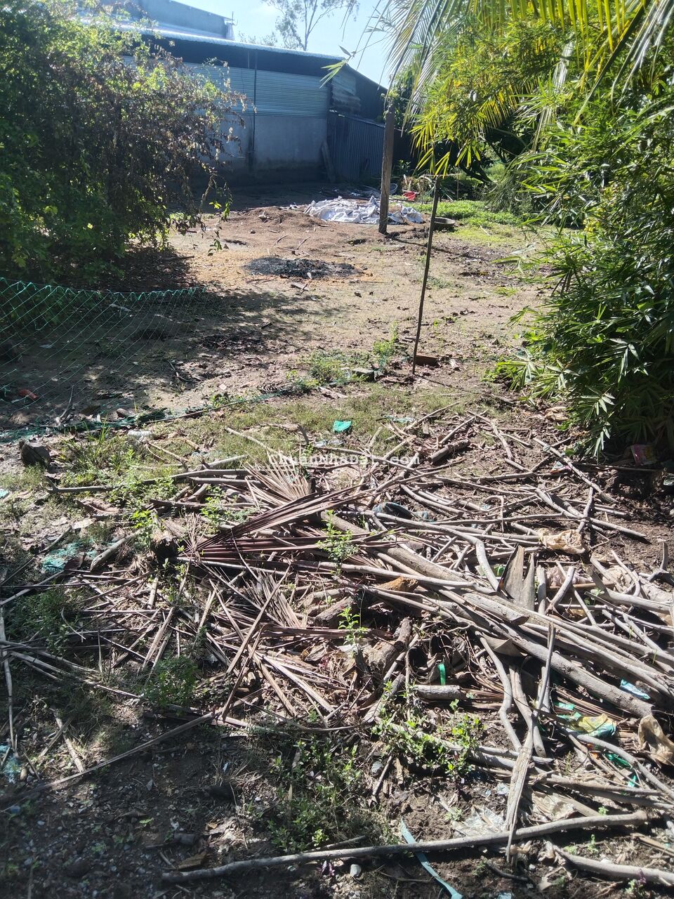 đất ruộng rẻ, kèm thổ cư , lúa làm 3 vụ 