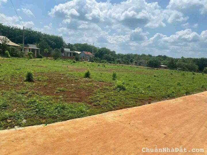 Đất thị trấn Tân Phú có diện tích 500m² giá 200tr