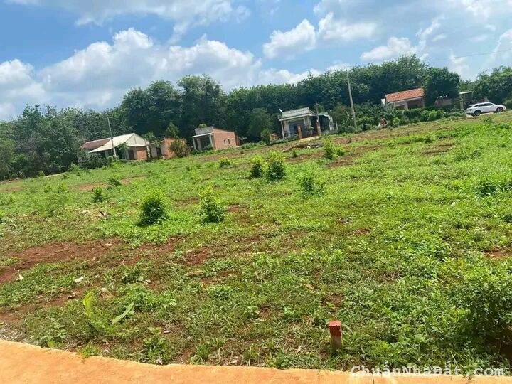 Đất thị trấn Tân Phú có diện tích 500m² giá 200tr