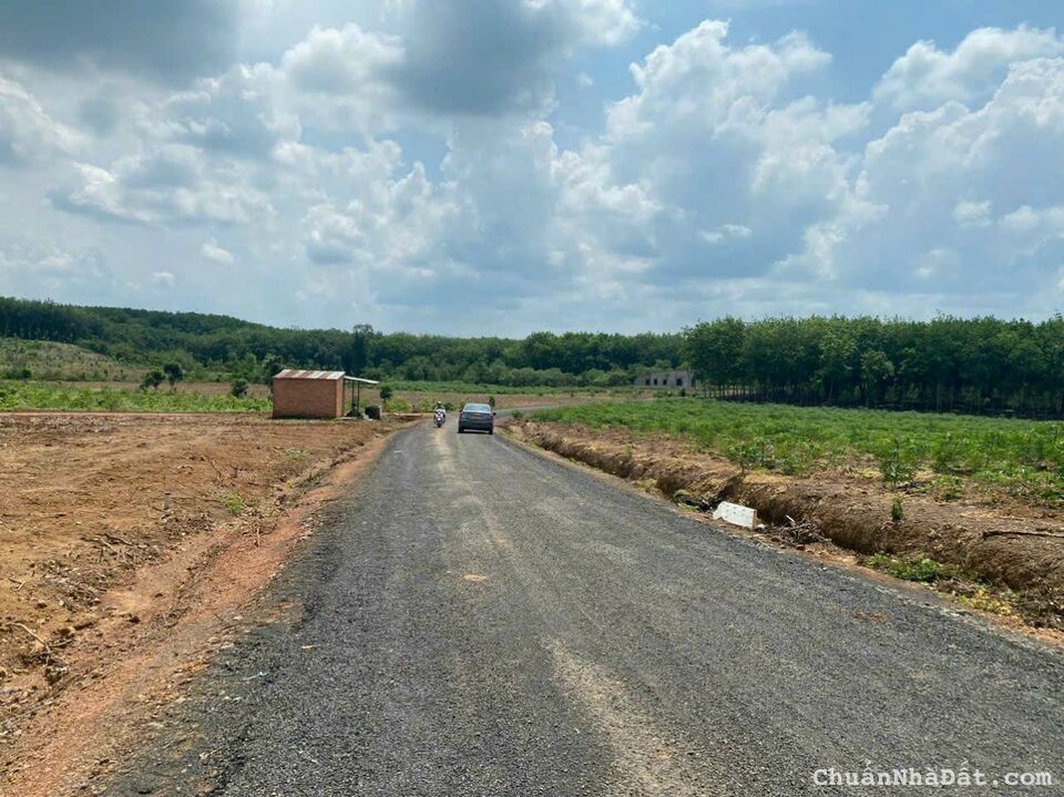 Mua đất huyện nhưng sau này được đất Tp
Thuận Lợi sáp nhập Tp Đồng Xoài