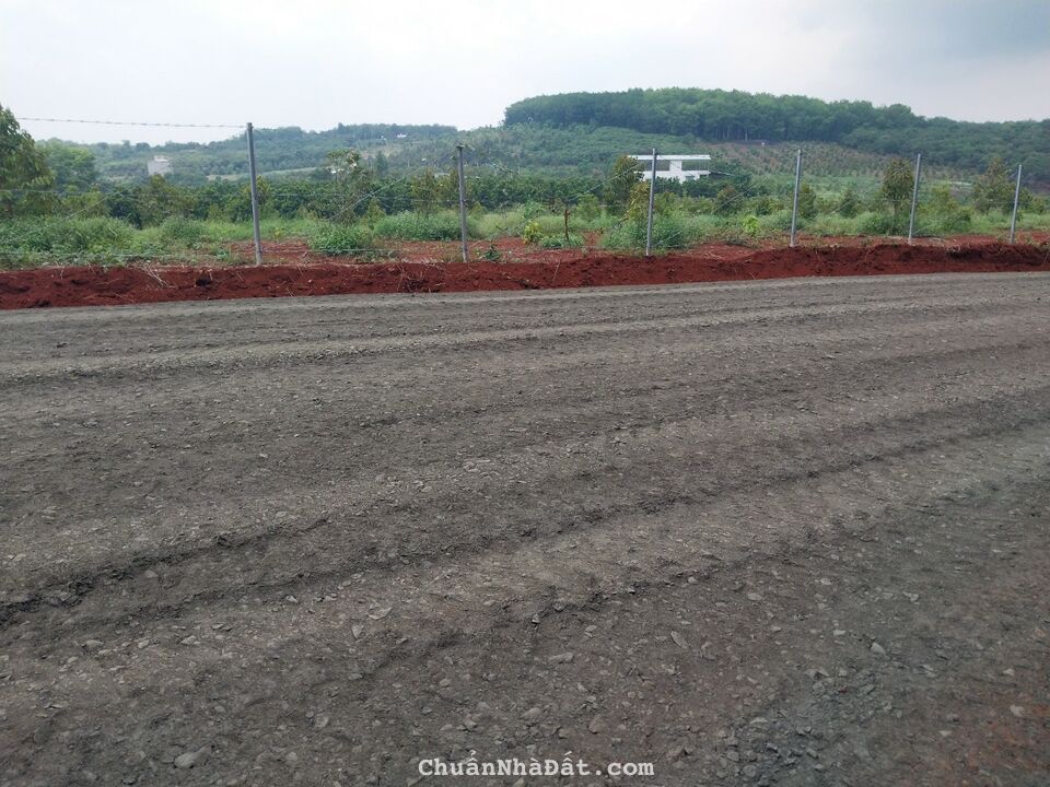 Đất đẹp giá rẻ chốt ngay tầm tay