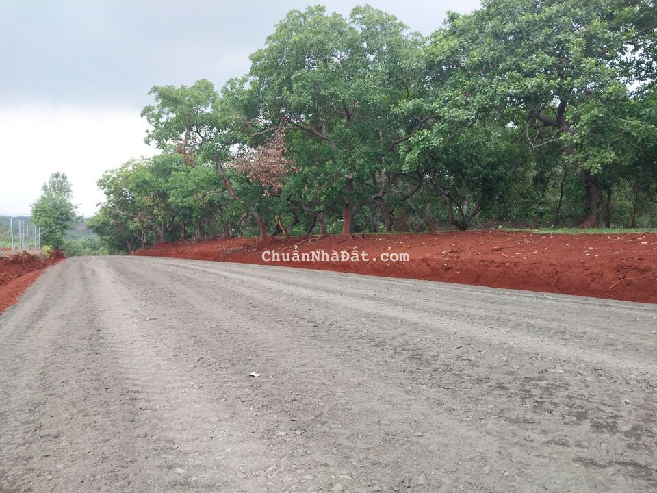 Đất đẹp giá rẻ chốt ngay tầm tay