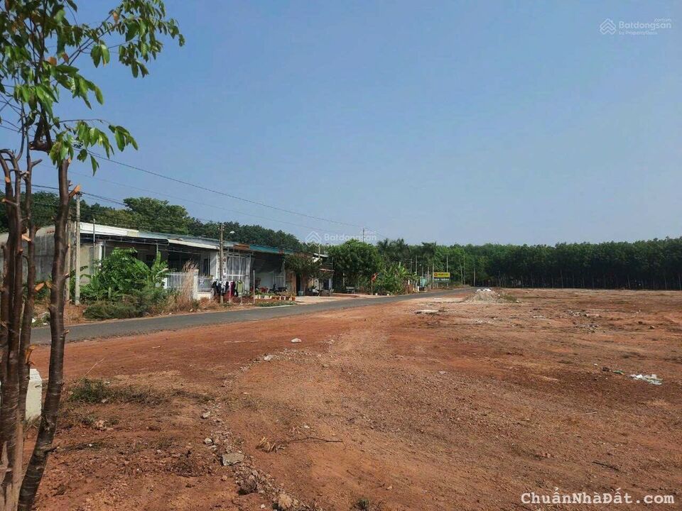 Bán đất hơn 1000m² có nhà ở trên