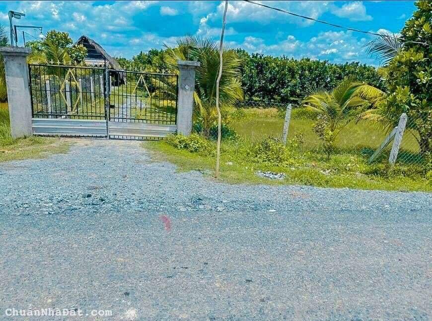 Cần ra gấp mảnh vườn bưởi giá chỉ có 290tr