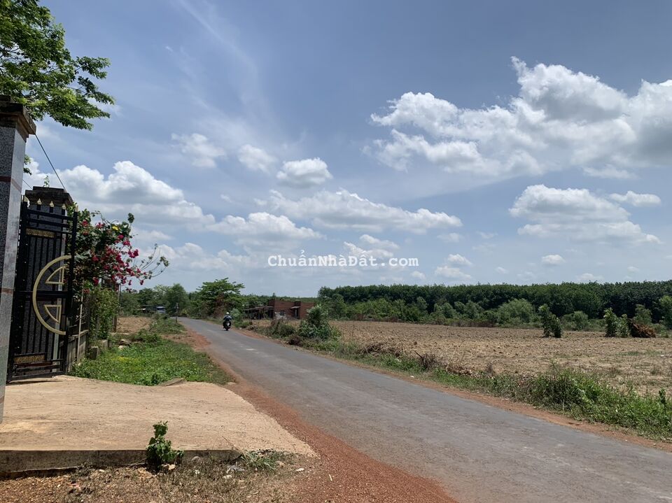 Đất ngay tuyến số 4