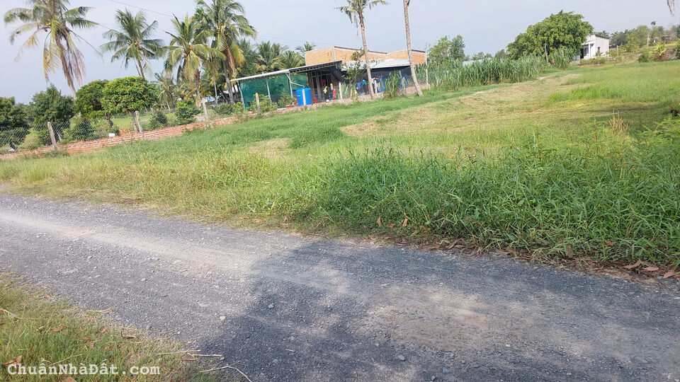 Hơn 1000m2 có thổ đường 6m xây dựng tự do - 780tr