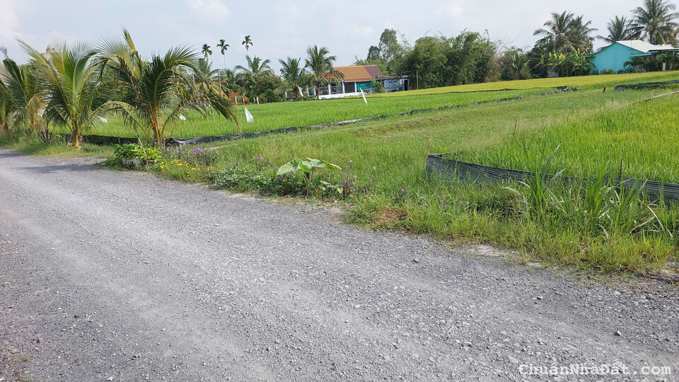 Hơn 1000m2 có thổ đường 6m xây dựng tự do - 780tr