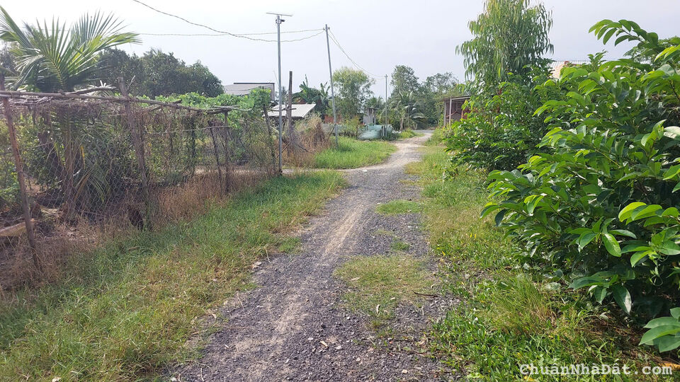 350tr nền thổ cư 178m2,sổ riêng đường ô tô