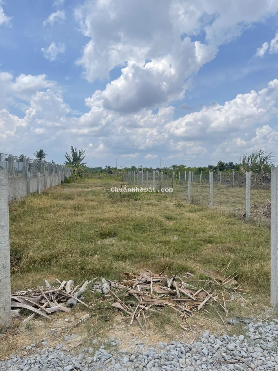 tôi cần bán gấp lô đất ngay xã tân lân huyện cần đước tỉnh long an 