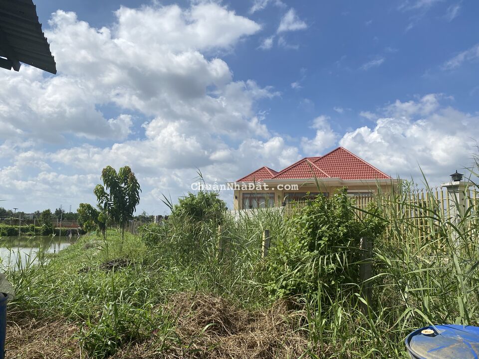 tôi cần bán gấp lô đất ngay xã tân lân huyện cần đước tỉnh long an 