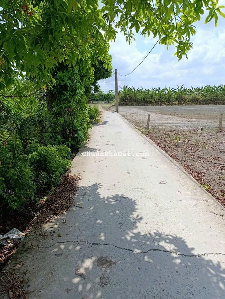 tôi cần bán gấp lô đất ngay Tân trụ Long an 