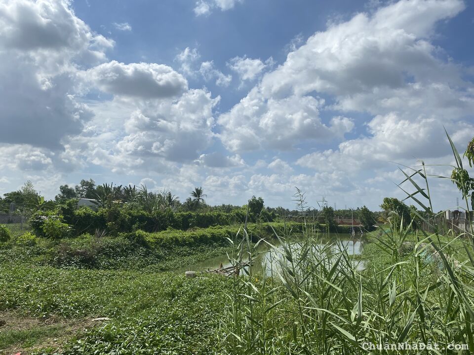 tôi cần bán đất ngay xã tân lân huyện cần đước tỉnh long an