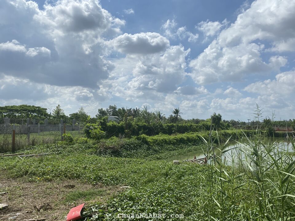 tôi cần bán gấp lô đất ngay mặt tiền đường 19/5 xã tân lân huyện cần đước long an