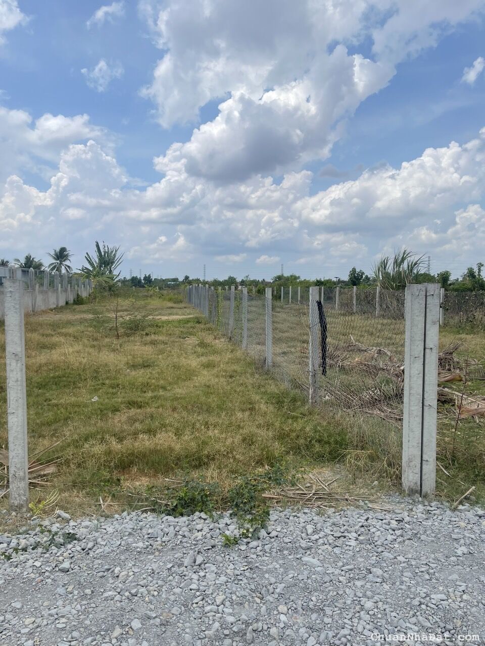 tôi cần bán gấp lô đất ngay xã tân lân huyện cần đước tỉnh long an 