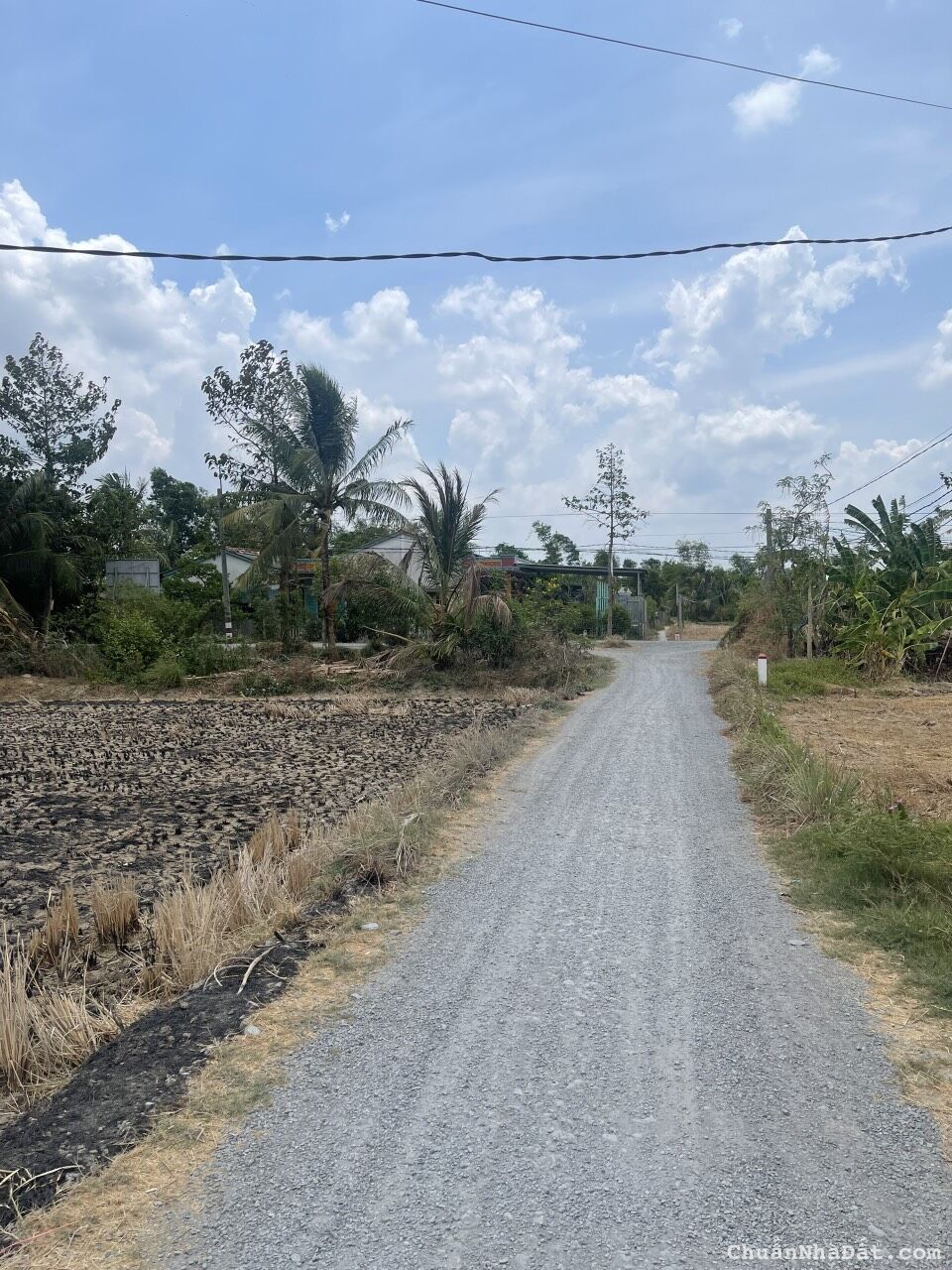 tôi lô đất ngay xã tân lân huyện cần đước tỉnh long an