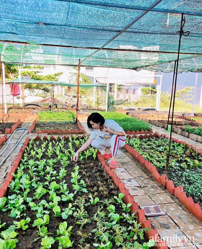 Không quản lý được bán đất kèm tặng vườn ở chơn thành 590tr