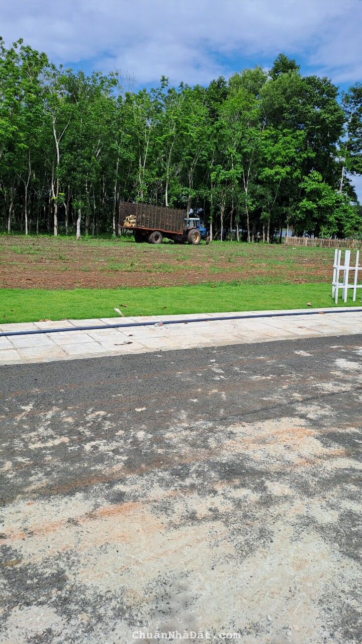 bán nhanh 2 nền đất tổng diện tích 400m2 có 200m thổ cư chỉ 560 triệu bán nhanh 2 nền đất tổng diện tích 400m2 có 200m thổ cư chỉ 560 triệu