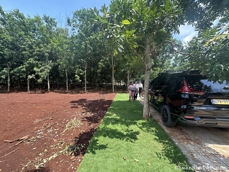 bán đất giá từ 199tr-299tr/nền, đang có hợp đồng cho thuê đất từ 20tr đến 30tr/năm