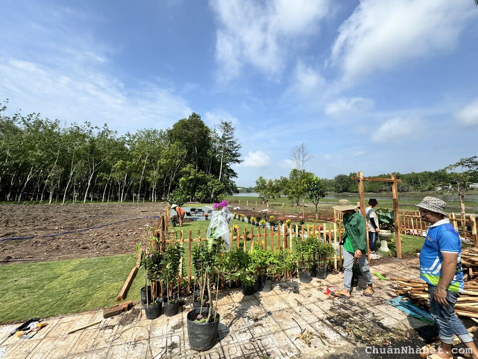 bán đất giá từ 199tr-299tr/nền, đang có hợp đồng cho thuê đất từ 20tr đến 30tr/năm