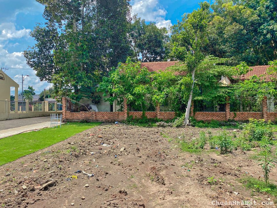 còn duy nhất 1 nền đất đối diện Nhà văn hóa xã Tân Quan, chơn thành còn duy nhất 1 nền đất đối diện Nhà văn hóa xã Tân Quan, chơn thành