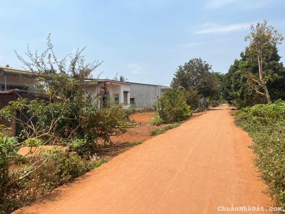 Cưsue sau Tân Linh 2 lô liền kề sổ sẵn công chứng ngay. Cưsue sau Tân Linh 2 lô liền kề sổ sẵn công chứng ngay.