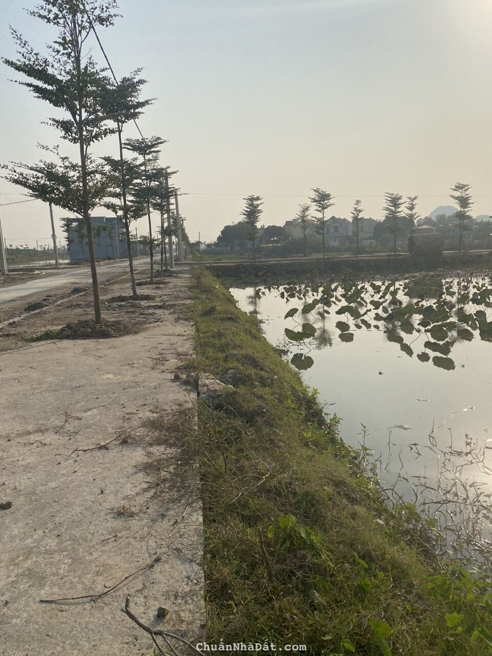 Bán đất phân lô Gia Vượng, Gia Viễn, Ninh Bình kinh doanh đường thông.