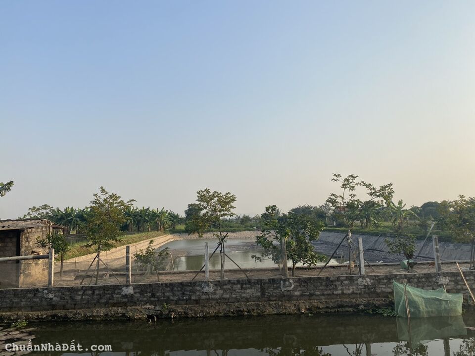 Cần bán gấp lô đất ở xã Gia Vượng,Gia Viễn, Ninh Bình ngay khu hành chính mới huyện Gia Viễn