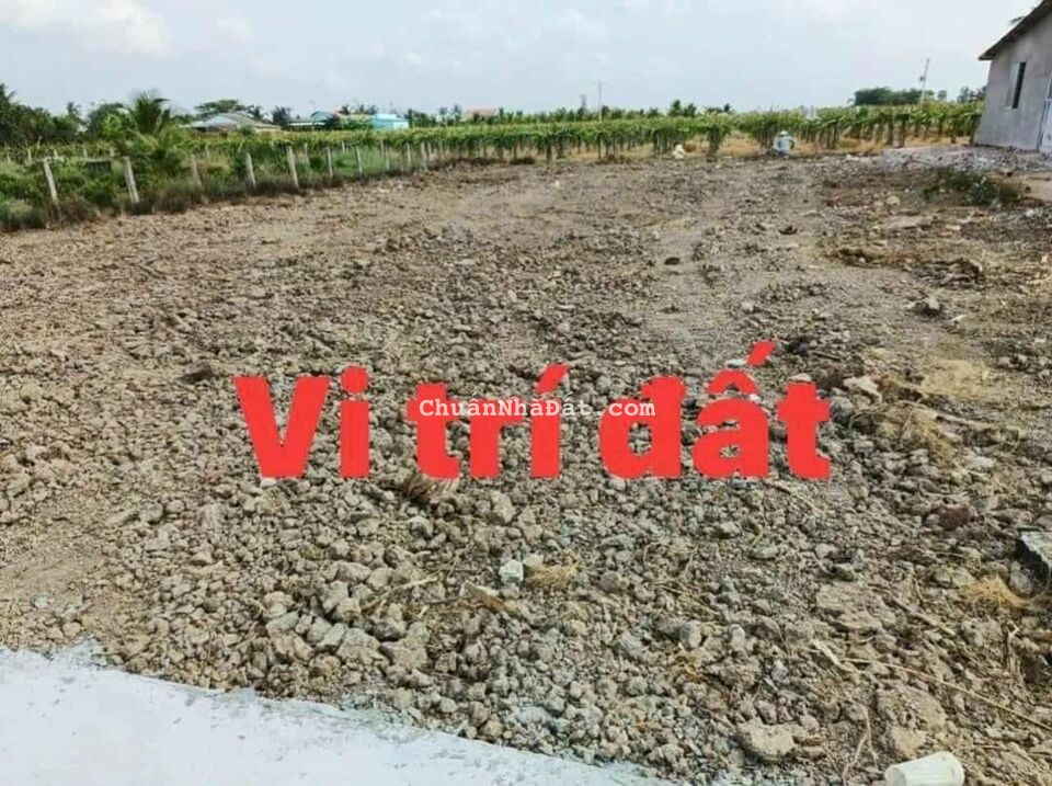 Bán đất Long An.              