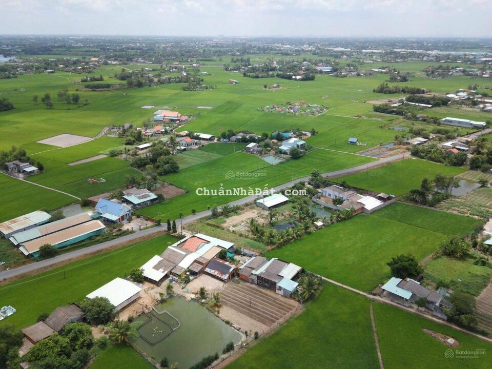 Bán đất Long An.              