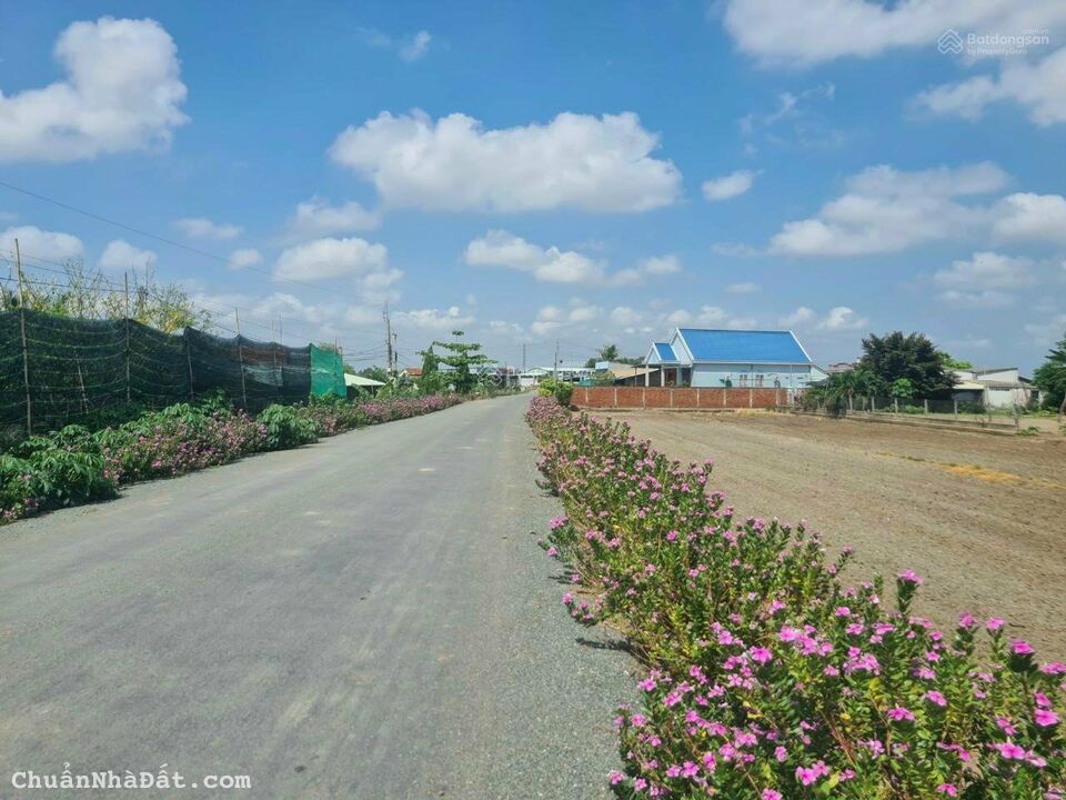 Bán đất Long An.              