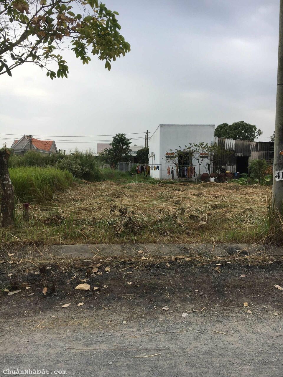 Bán đất Long An.              