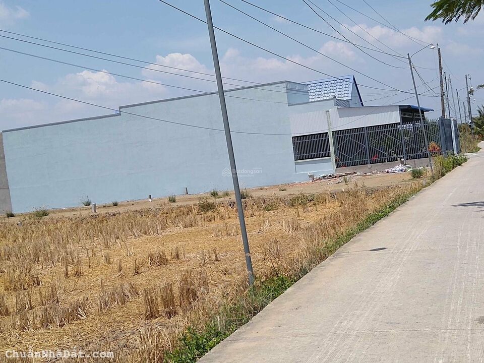 Bán đất Long An.              