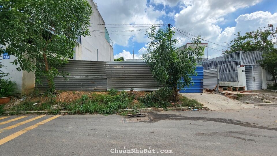 Bán đất mặt tiền đường Tân Hiệp Dĩ An 80m2 đường oto sổ riêng, cần ra gấp 1.65 tỷ quá rẻ