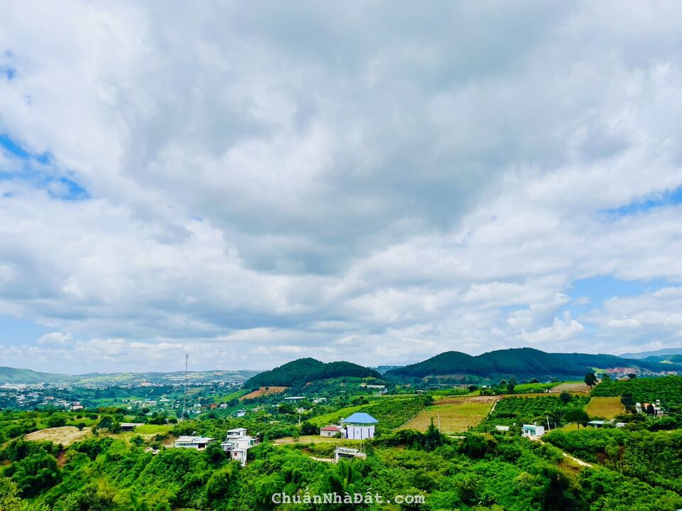 Bán đất nền nghỉ dưỡng ven thành phố Đà lạt Bán đất nền nghỉ dưỡng ven thành phố Đà lạt
