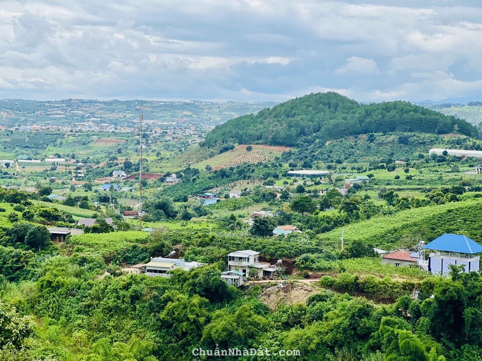 Bán đất nền nghỉ dưỡng ven thành phố Đà lạt Bán đất nền nghỉ dưỡng ven thành phố Đà lạt