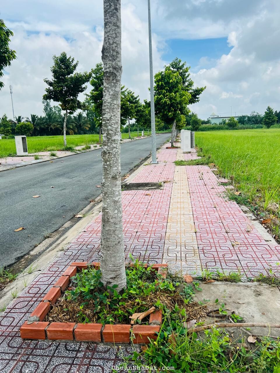  2 Lô Đất Ngay Chợ Thủ Thừa Cần Ra Nhanh – Chỉ 1,3 Tỷ