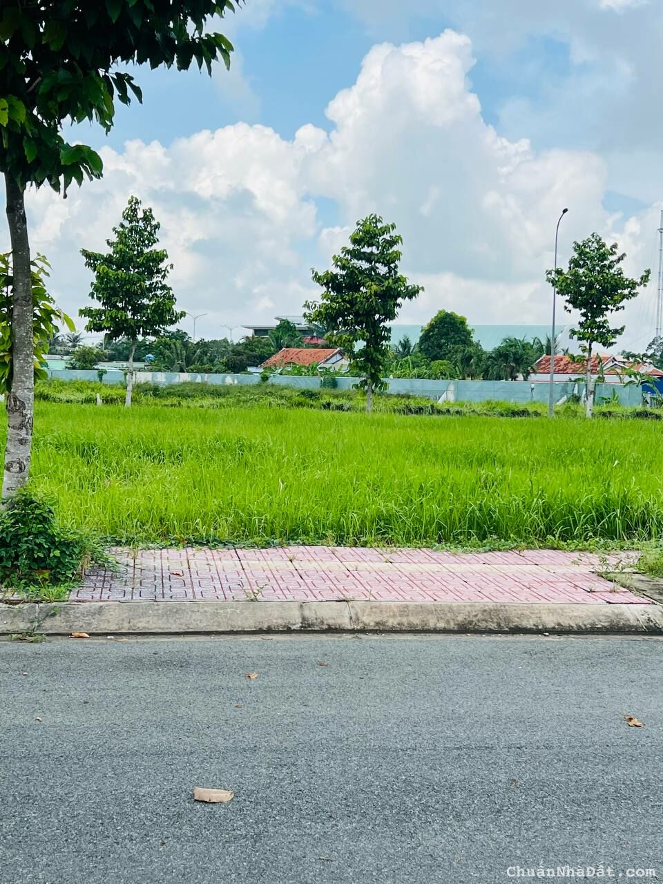  2 Lô Đất Ngay Chợ Thủ Thừa Cần Ra Nhanh – Chỉ 1,3 Tỷ