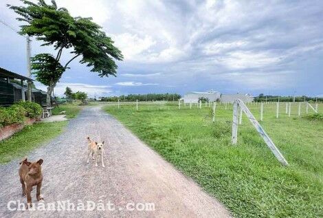 Bán đất Củ Chi, gần 120m2 nở hậu phát lộc, gần tuyến đường Xuyên Á, chỉ 300 triệu. Bán đất Củ Chi, gần 120m2 nở hậu phát lộc, gần tuyến đường Xuyên Á, chỉ 300 triệu.