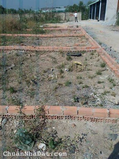 BÁn Đất 9 chủ,48m2  Ấp 5 , Vĩnh Lộc B, Bình Chánh