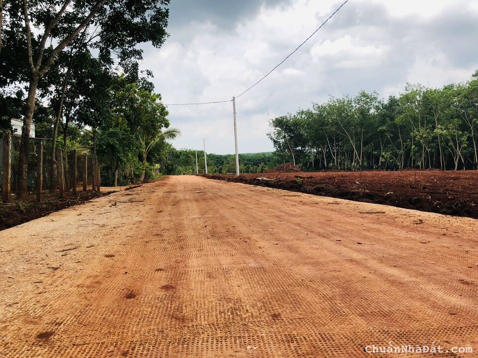 CẦN TIỀN GẤP BÁN NHANH LÔ 2.019M2 ĐẤT SHR NGAY CỤM KCN, CHỢ GIÁ 180TR